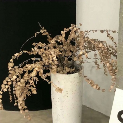 Furry绘画配色指南兽圈社群